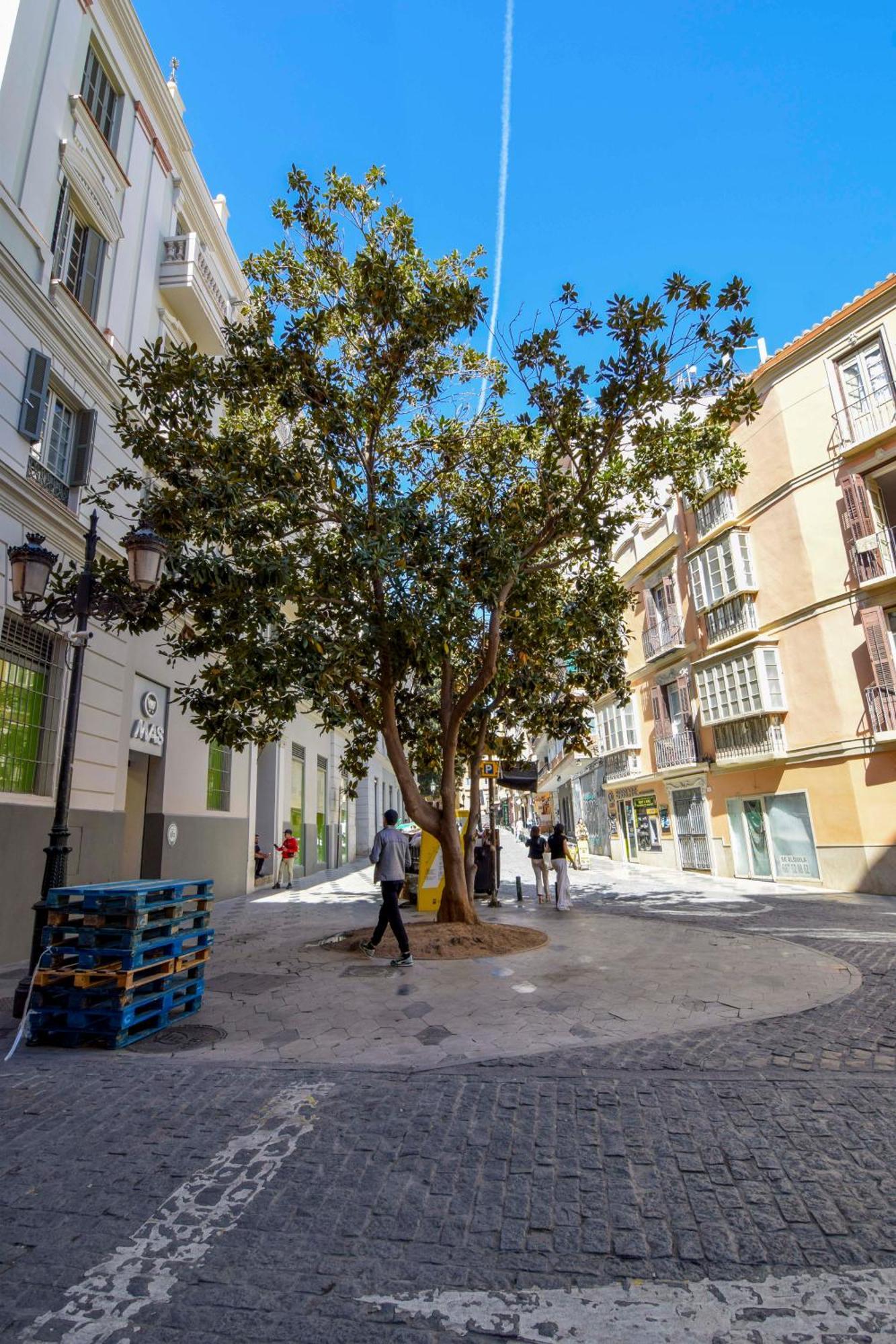 Lejlighed Letplanet Plaza Del Teatro Premium Málaga